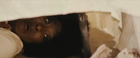 Brute 1976 (2025)