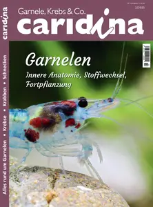 Caridina - 27 Mai 2025