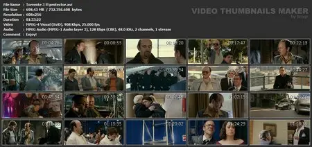 Torrente 3: El protector (2005) 
