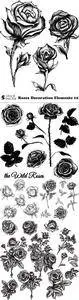 Vectors - Roses Decoration Elements 10