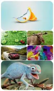 Beautiful Mixed Wallpapers Pack 383