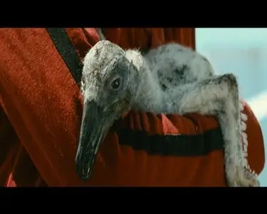 Nicostratos le pelican / Пеликан (2011)