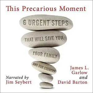 This Precarious Moment: Six Urgent Steps That Will Save You, Your Family, and Our Country [Audiobook]