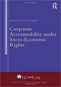 Corporate Accountability under Socio-Economic Rights