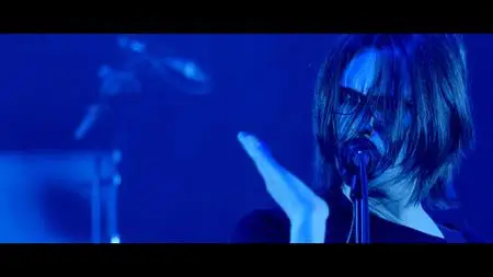 Steven Wilson - Home Invasion: In Concert at the Royal Albert Hall (2018) [Blu-ray, 1080p]