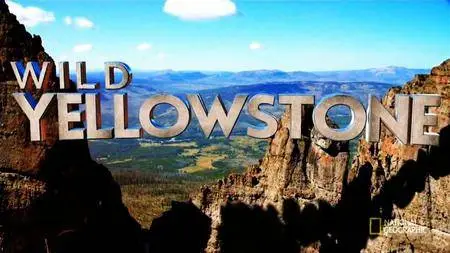 National Geographic - Wild Yellowstone: Series 1 (2015)