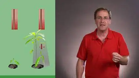 Coursera - What a Plant Knows