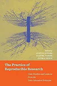 The Practice of Reproducible Research: Case Studies and Lessons from the Data-Intensive Sciences