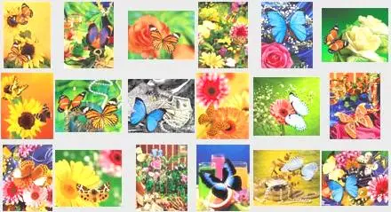 Izosoft 086: Butterflies