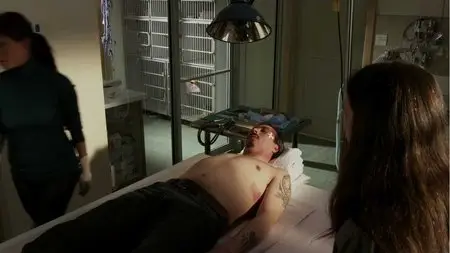 Charlie Zone (2011)