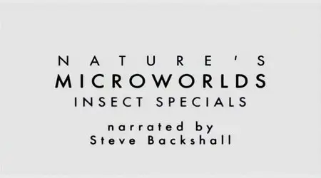 BBC - Nature's Microworlds: Insect Specials (2014)