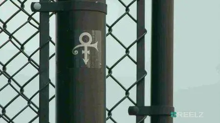 Prince - When Doves Cry (2017)