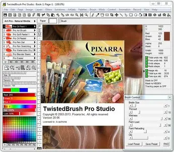 TwistedBrush Pro Studio 20.06