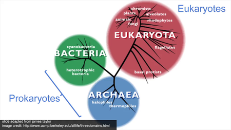 Coursera - Genomic Data Science Specialization (2016)