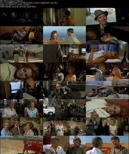 Hard Contract (1969)
