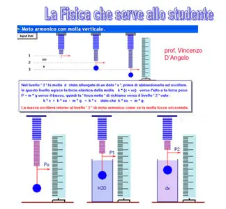 Vincenzo D'Angelo - La Fisica che serve allo studente