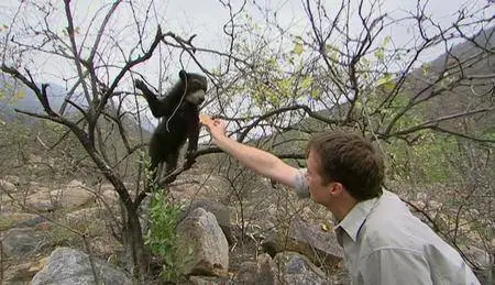 BBC Natural World - Spectacled Bears: Shadows of the Forest (2008)