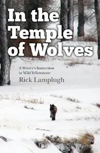 In the Temple of Wolves: A Winter's Immersion in Wild Yellowstone