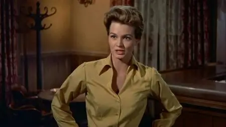 (Howard HAWKS) RIO BRAVO [DVDrip] 1959