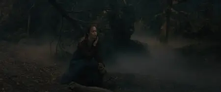 Into the Woods (2014)