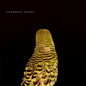 Andrew Bird - Armchair Apocrypha (2007) {Fat Possum}