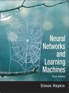 Neural Networks and Learning Machines: A Comprehensive Foundation, 3rd edition