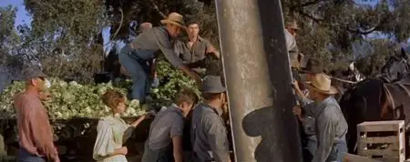 East of Eden (1955)