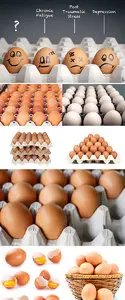 Stock Photo - Person choosing the best egg from a carton of eggs