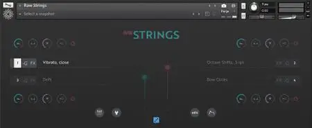 Sudden Audio RAW Strings KONTAKT