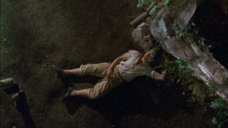 Poison (1991)