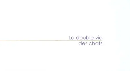 (Fr5) La double vie des chats (2014)