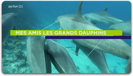 (Arté) Mes Amis Les Grands Dauphins (2013)