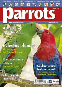 Parrots – September 2021