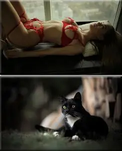 Classy Wallpapers (644)