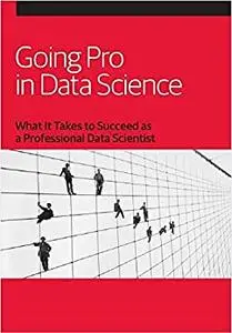 Going Pro in Data Science: What It Takes to Succeed as a Professional Data Scientist