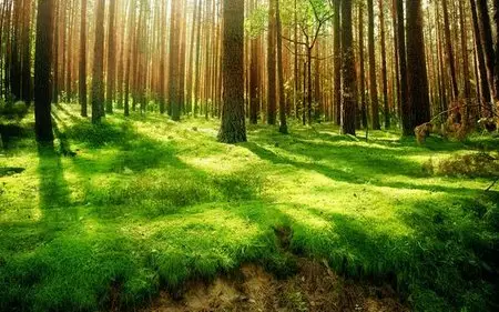 HD Wallpapers Wide Pack #52