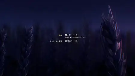Goblin Slayer II - 11 AT-X 1920x1080 x265 AAC
