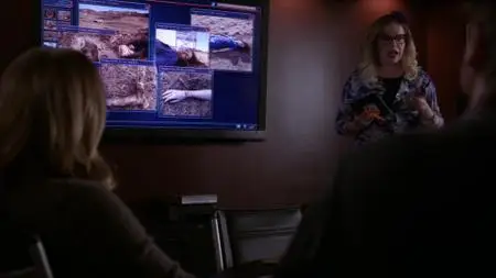 Criminal Minds S09E17