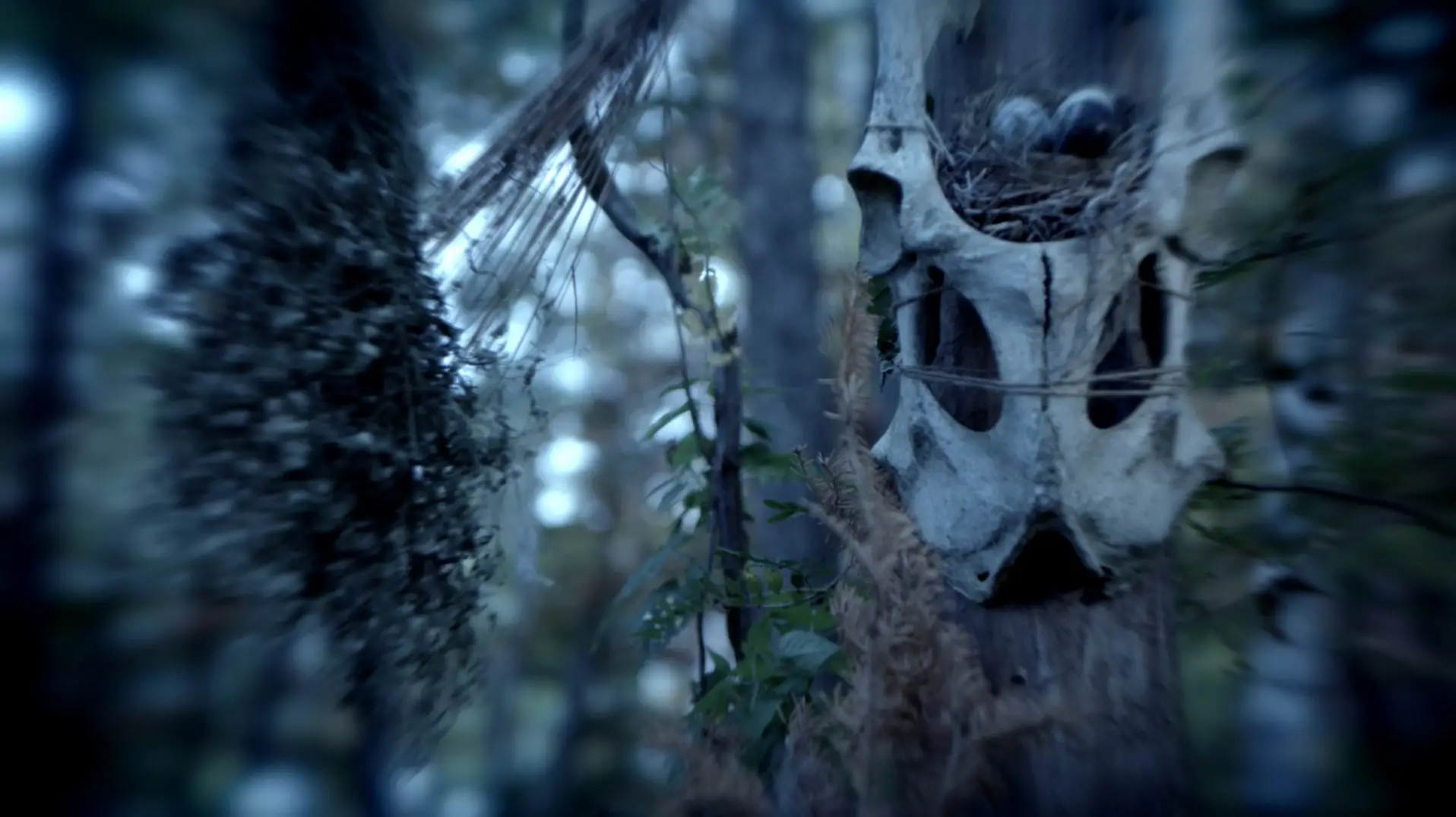 Flee the Light (2021)