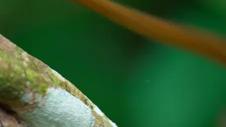 Tiny World S01E02