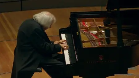 Grigory Sokolov plays Schubert, Beethoven, Rameau and Brahms (2014) [HDTVRip, 720p]