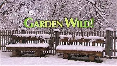ORF - Garden Wild! (2016)