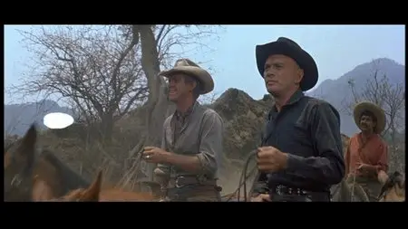 The Magnificent Seven (1960) [2-disc Collector's Edition]