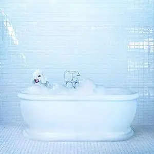Frankie Cosmos - Vessel (2018) [Official Digital Download 24/88]