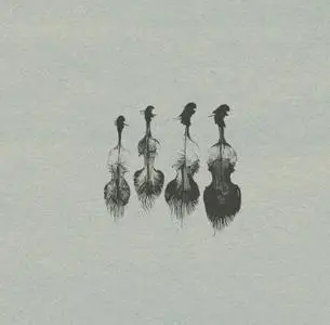 Wrongtools Feathersome Strings KONTAKT