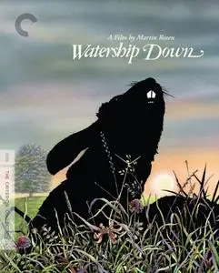 Watership Down (1978) [The Criterion Collection]