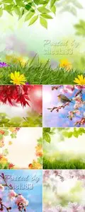Stock Photo - Natural Backgrounds 3