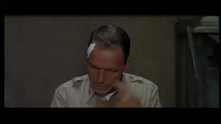 Von Ryan's Express (1965)