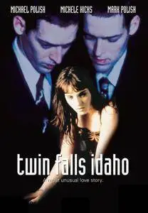 Twin Falls Idaho [Les Frères Falls] 1999