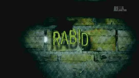 Animal Planet - Rabid (2016)